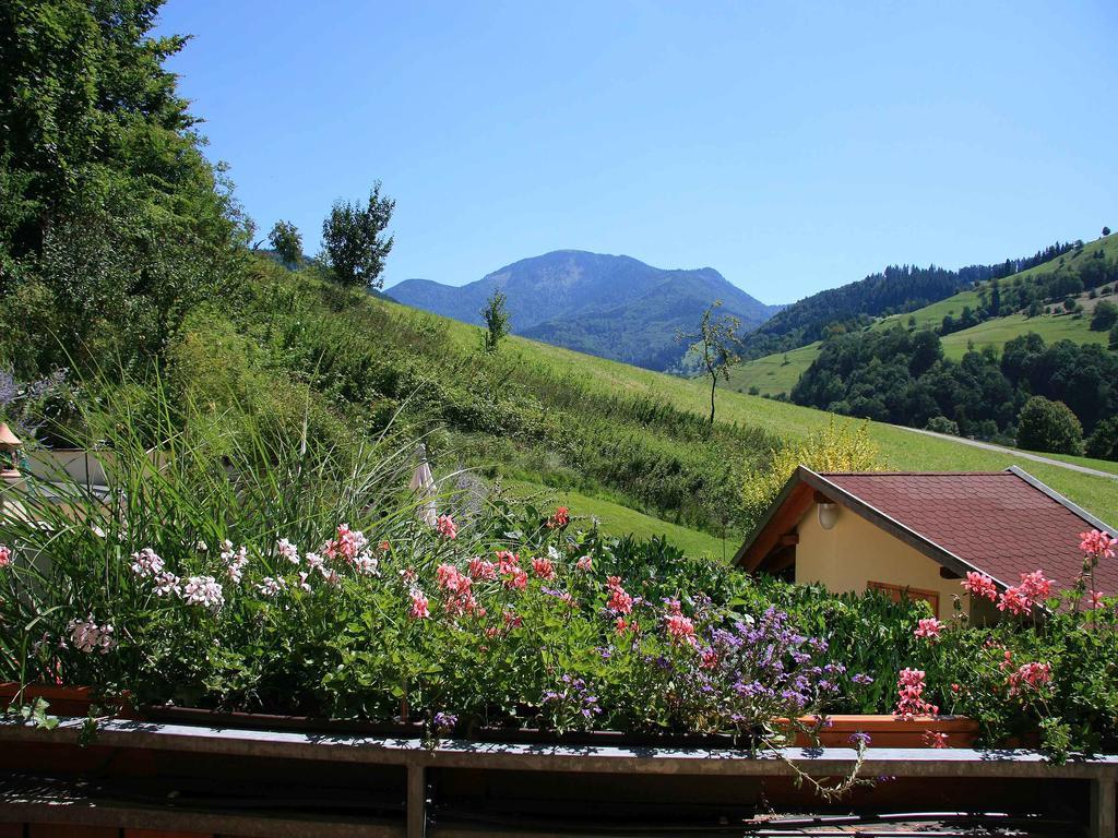 Haus Bergquell Appartement Münstertal Buitenkant foto